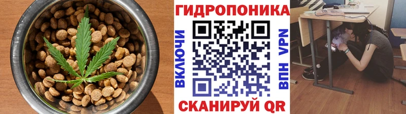 Купить закладки  Юрьевец  Еда ТГК конопля 