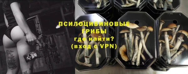 прущий лед Армянск
