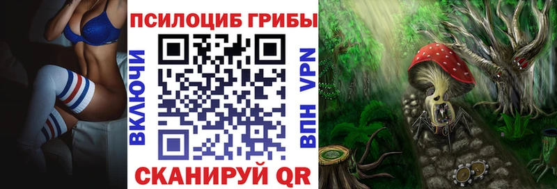Купить  Юрьевец  Галлюциногенные грибы Magic Shrooms 